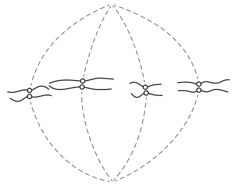 Fig. 21.1