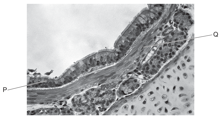Fig. 34.1