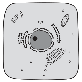 Fig. 2.1