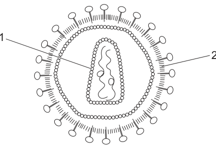 Fig. 7.1