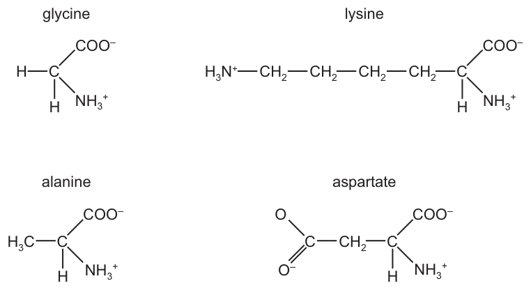 Fig. 13.1