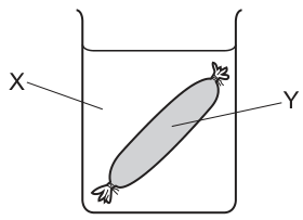 Fig. 20.1