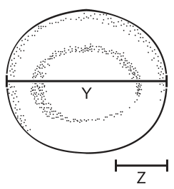 Fig. 2.1