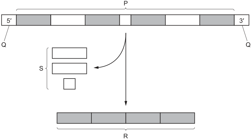 Fig. 26.1