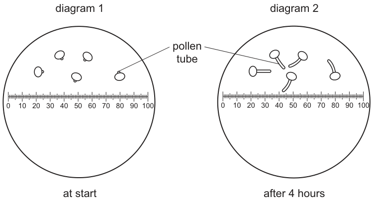 Fig. 3.2