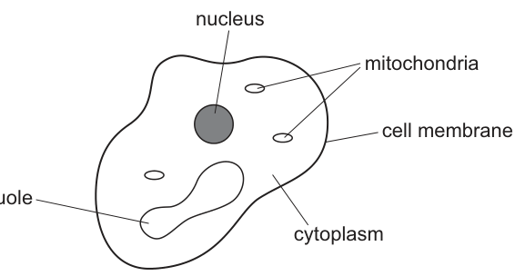 Fig. 7.1