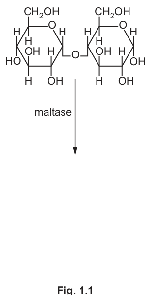 Fig. 1.1