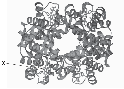 Fig. 6.1