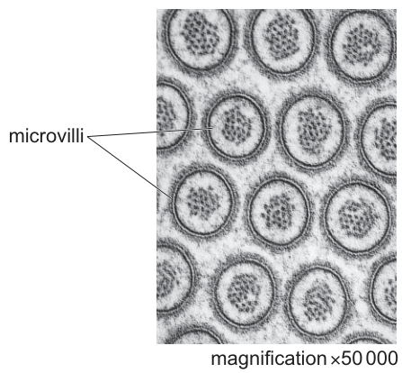 Fig. 2.2