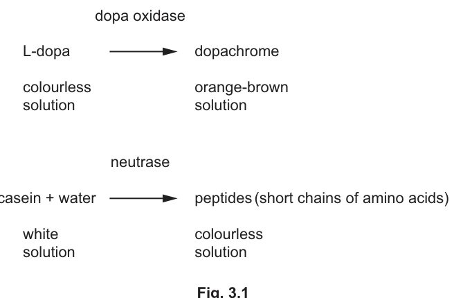 Fig. 3.1