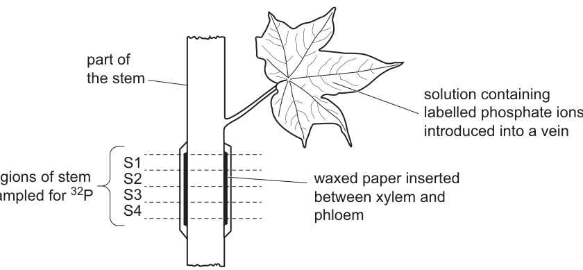 Fig. 5.1