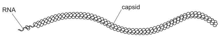 Fig. 3.2