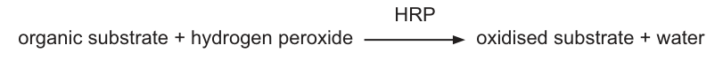 Fig. 6.1