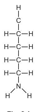 Fig. 2.1