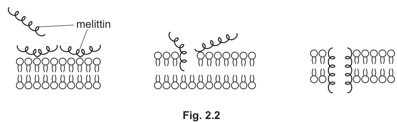 Fig. 2.2