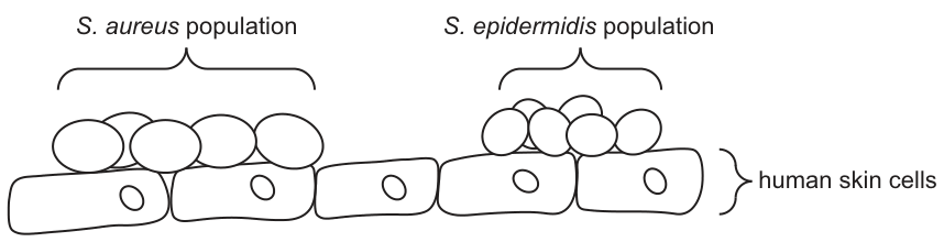 Fig. 3.1