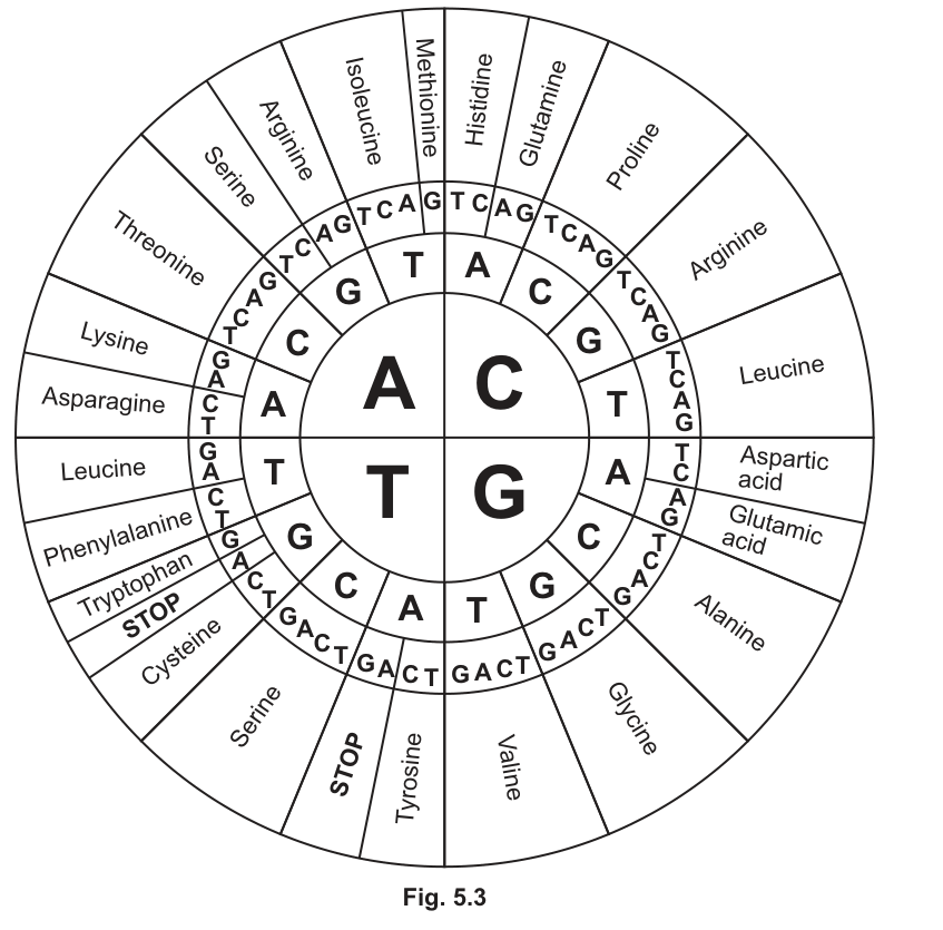 Fig. 5.3