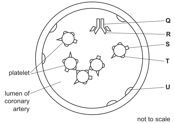 Fig. 6.1