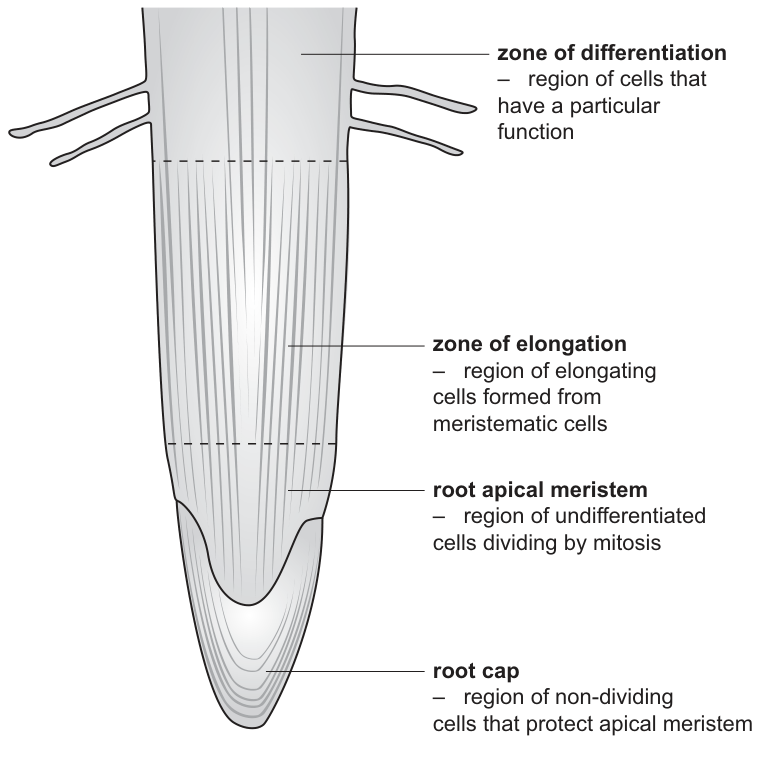 Fig. 1.1