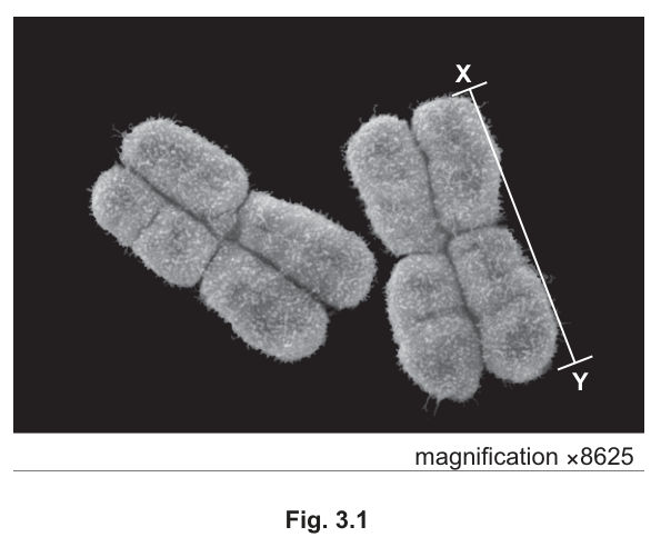 Fig. 3.1