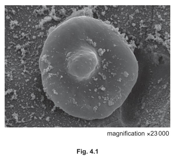 Fig. 4.1