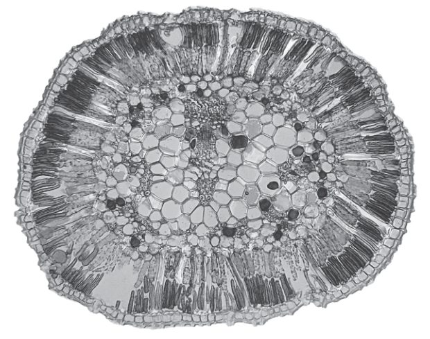 Fig. 2.2