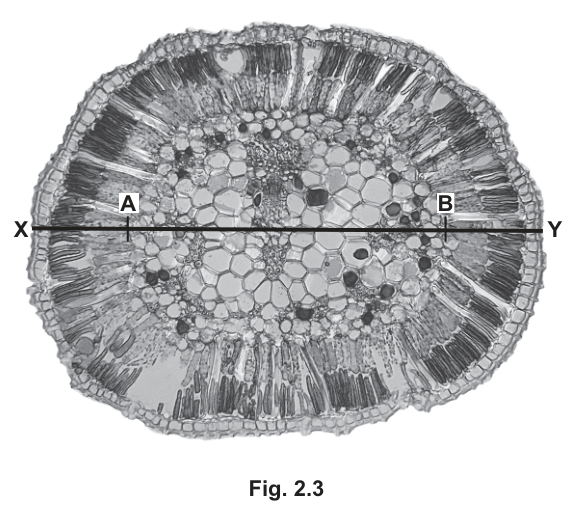 Fig. 2.3