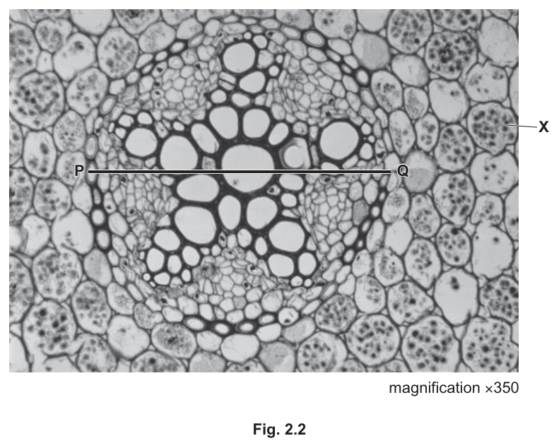 Fig. 2.2