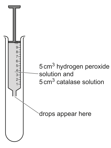 Fig. 1.1