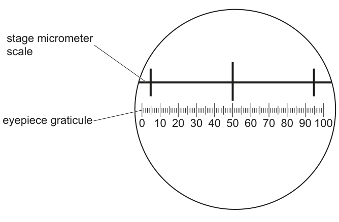 Fig. 2.2