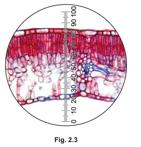 Fig. 2.3
