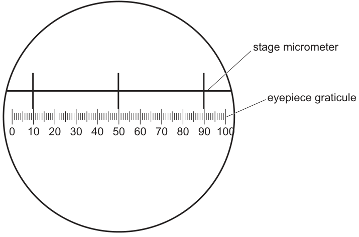 Fig. 2.1