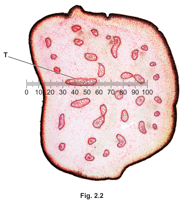 Fig. 2.2
