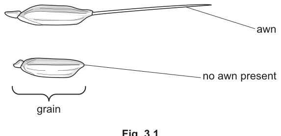 Fig. 3.1