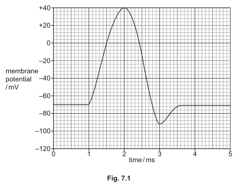 Fig. 7.1