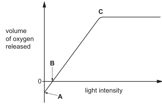Fig. 8.2