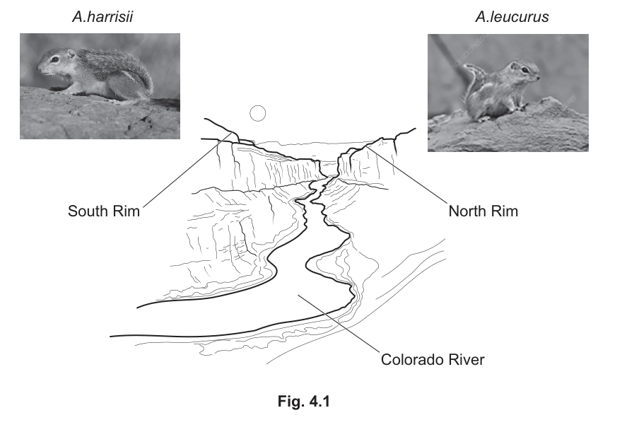 Fig. 4.1