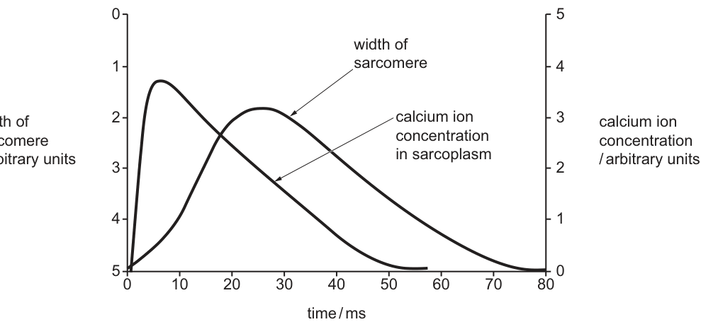 Fig. 9.2
