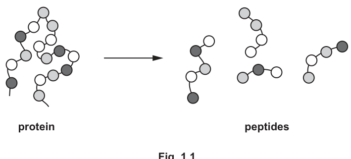 Fig. 1.1