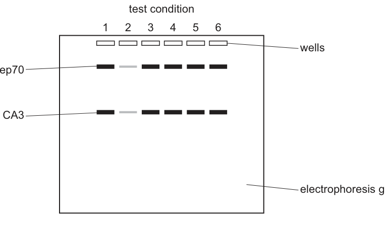 Fig. 1.5