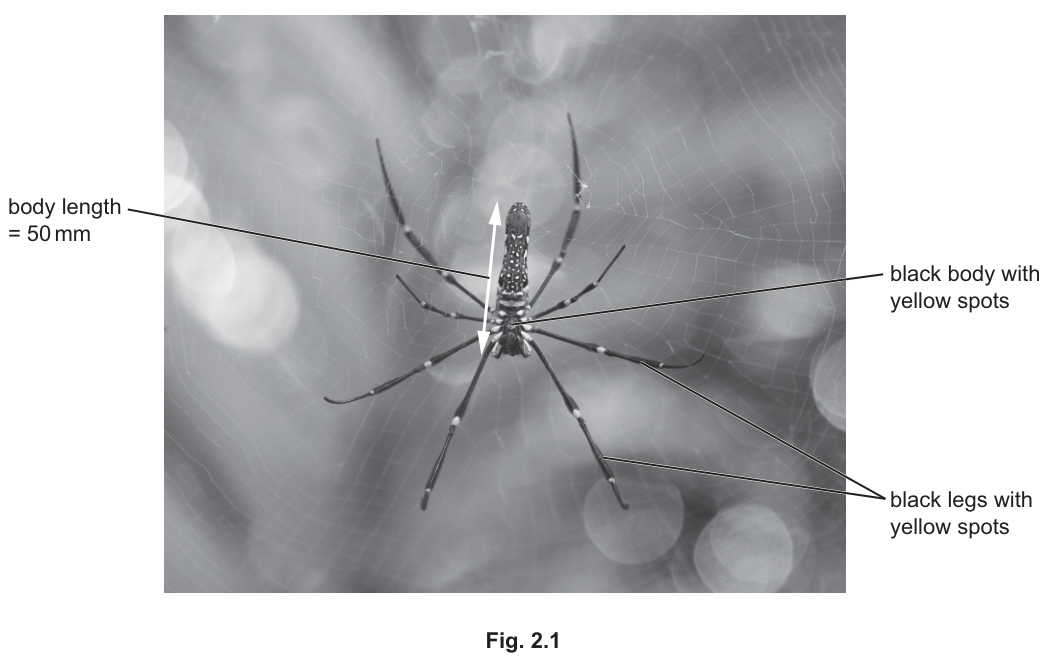 Fig. 2.1