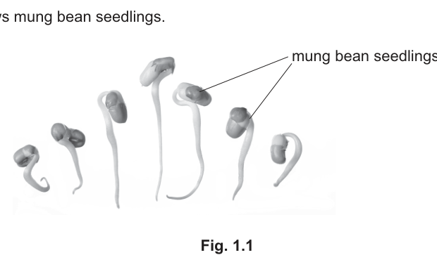 Fig. 1.1