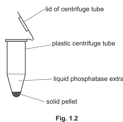 Fig. 1.2