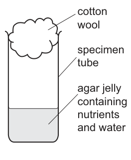 Fig. 1.2