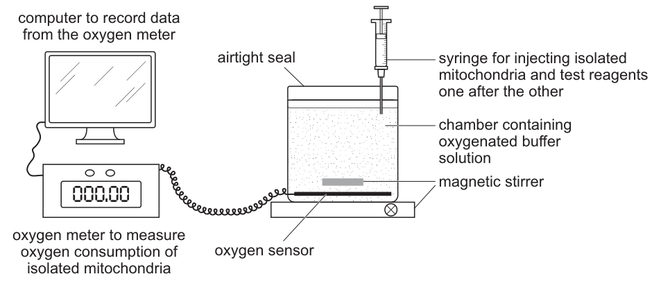 Fig. 2.1