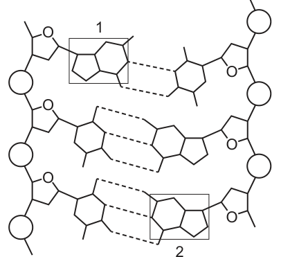 Fig. 23.1
