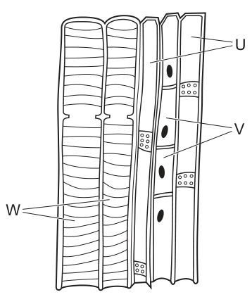 Fig. 26.1