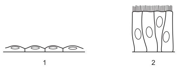 Fig. 34.1