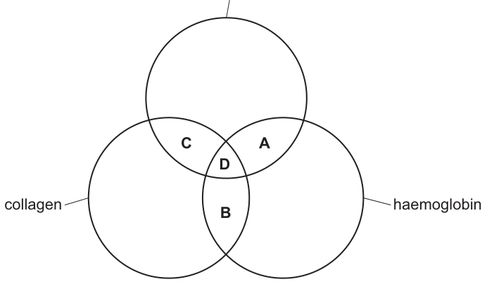 Fig. 10.1