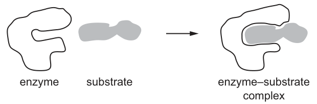 Fig. 14.1